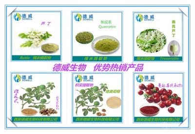 番瀉葉提取物 功效、市場價格與西安產(chǎn)業(yè)概況